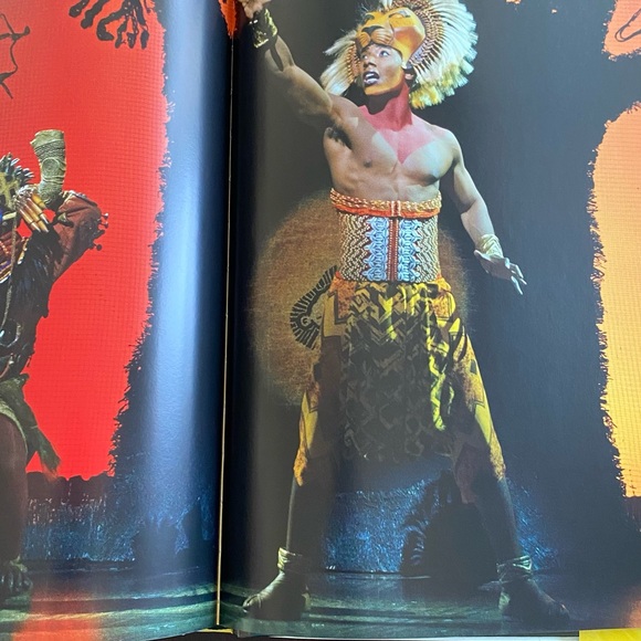 DISNEY LION🦁KING TWENTY YEARS ON BROADWAY AND AROUND THE WORLD HARDCOVER BOOK - Picture 3 of 12